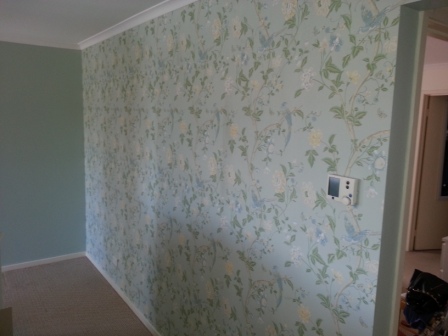 wall paper wallpaper feature wall lounge house painter berwick