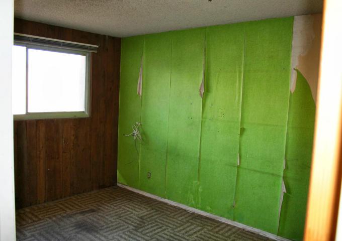 lime green peeling wallpaper